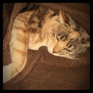 Meet your Posher, Kelsey